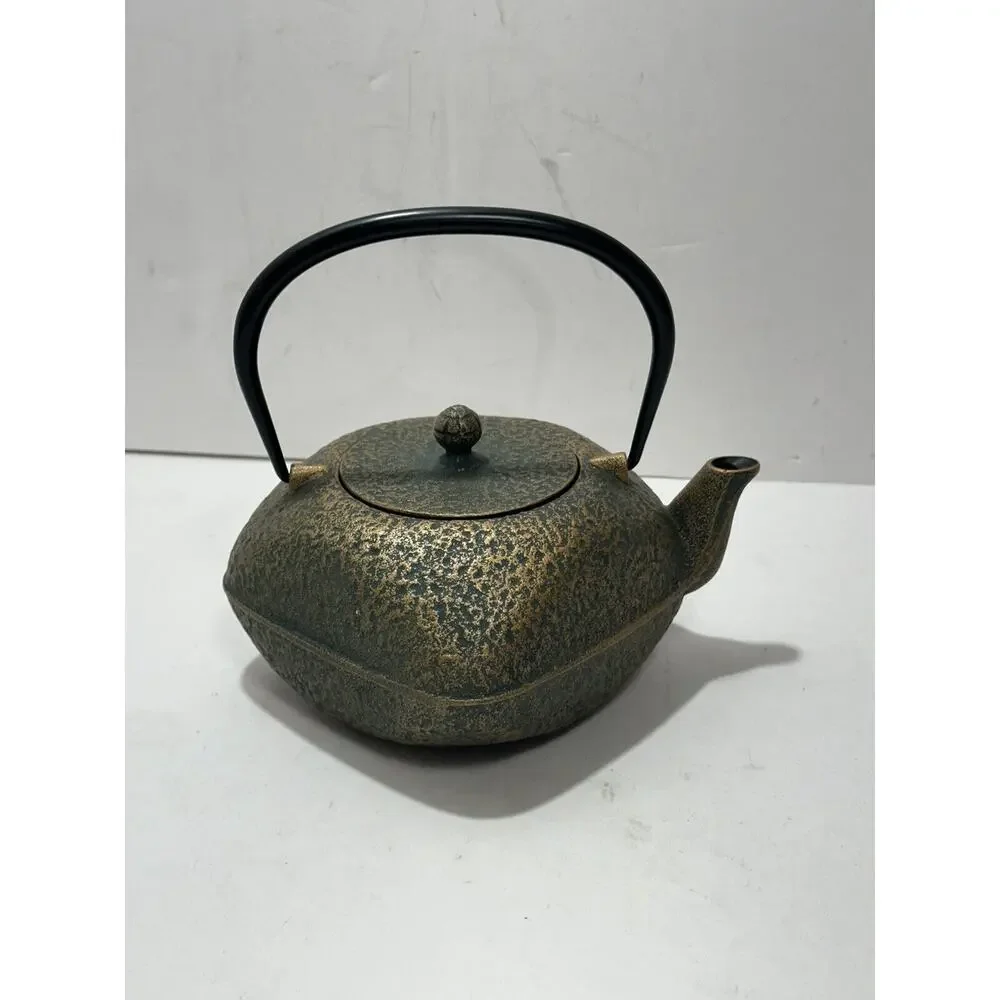 Japanese Rock Casting Iron Tea Pot‎ Kettle With Infuser Gorgeous Teapot Japan